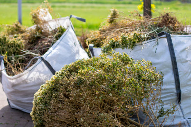 Best Residential Junk Removal  in Millport, AL